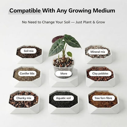 10 Pack 4" Self Watering Small White Plant Pots for Indoor Plants, Clear Inner Cup, Water Level Indicator, Drainage Holes & Wick, for Cuttings, Seedlings, Herb, African Violet, Hoya, Begonia