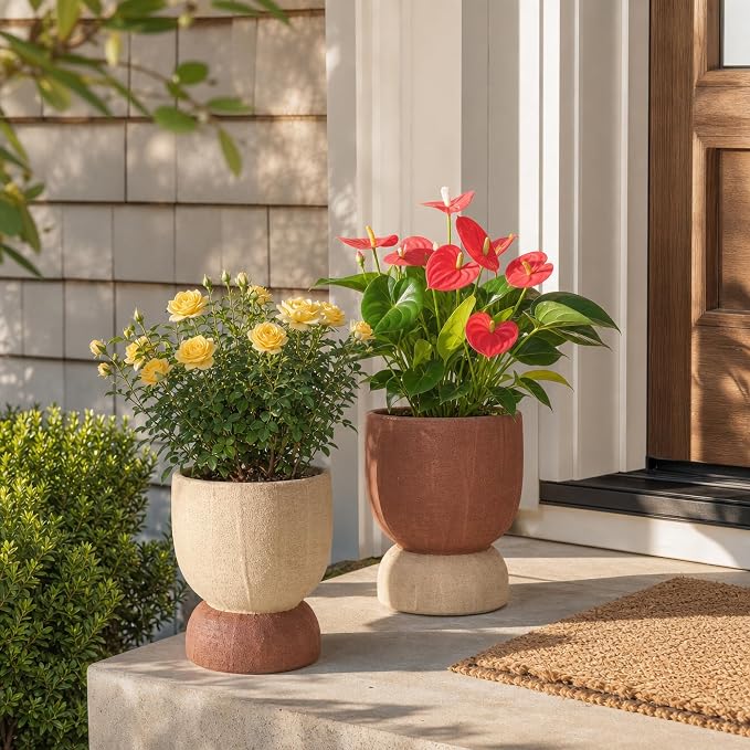 DREAMLOOM 2Pcs Flower Planters with Holes, 6.4Inch Classic Vintage Terracotta & Coarse-Grained Pots for Succulents, Bonsai, Cactus Aloe, Herbs, Orchid