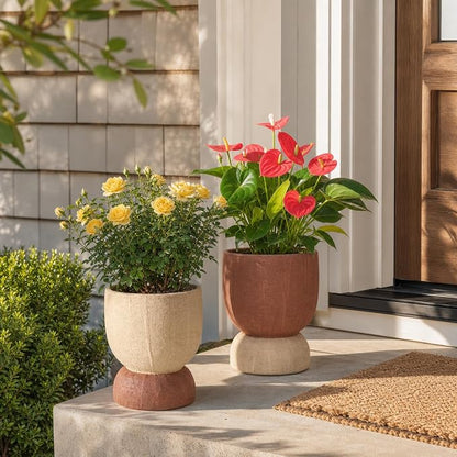 DREAMLOOM 2Pcs Flower Planters with Holes, 6.4Inch Classic Vintage Terracotta & Coarse-Grained Pots for Succulents, Bonsai, Cactus Aloe, Herbs, Orchid