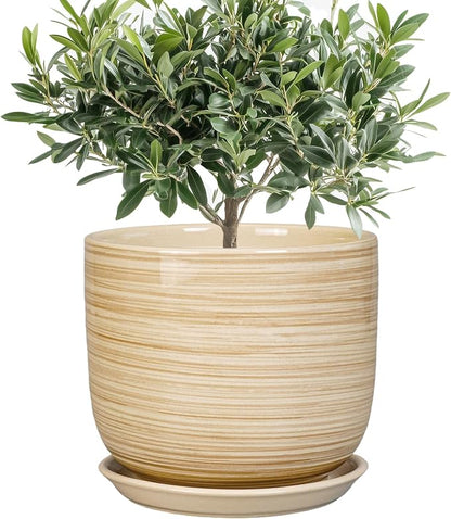 Indoor Plant Pot 8 Inch - Cylinder Modern Ceramic Planter for Indoor Outdoor Plants with Drainage Hole and Saucer, House Office Home Room Desk Decor, Yellow