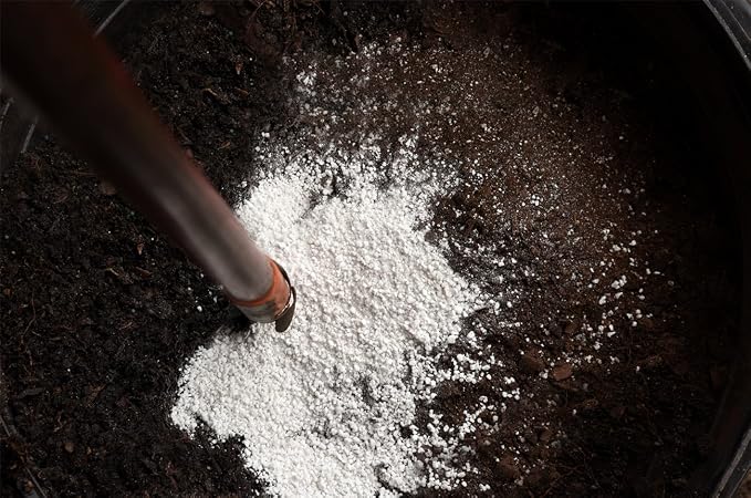 Organic Perlite by Perfect Plants — 1qt. Natural Soil Additive for Indoor & Outdoor Container Plants — Enhanced Drainage for Optimal Growth