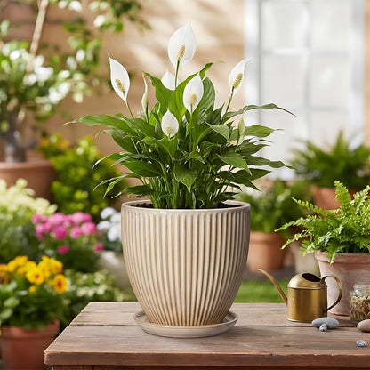 Ceramic Plant Pot, 6 Inch Succulent Pots with Drainage Hole and Saucer, Decorative Pot for Indoor Plants, Modern Indoor Flower Pots, Round Planter, Bedroom Decor, Plant Lover Gifts, Beige
