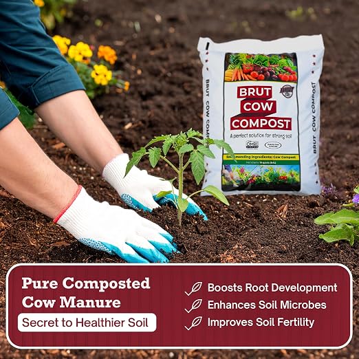 Brut Cow Compost – Nutrient-Rich Composted Cow Manure Organic Soil Amendment – 100% Pure Compost, Additive-Free Fertilizer for Vegetable Gardens, Flowers, Lawns & Indoor Plants – 10 Quart