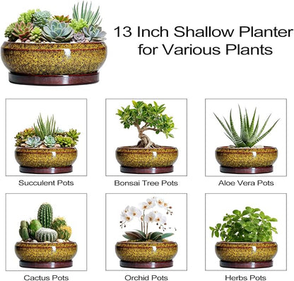 Succulent Pots Large - 13 Inch Ceramic Bonsai Pot with Drainage Hole and Tray, Round Succulent Planters, Shallow Plant Pots Indoor, Bowl Planter Outdoor, Garden Decor, Gardening Gift, Yellow