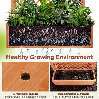 Giantex Raised Garden Bed with Trellis, 72'' Wooden Planter Box Outdoor w/Privacy Screen Roof, Large Vertical Garden Planter w/Drainage Holes for Climbing Plants, Patio Balcony Backyard