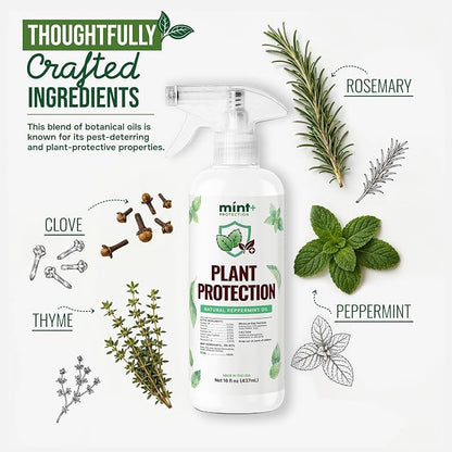 Mint+ Plant Protection Spray (16oz) | Mint-Powered Formula | Helps Protect Plants | Indoor & Outdoor Plants | Easy Spray Application | Made in USA