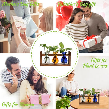 Plant Propagation Station Plant Terrarium Unique Birthday Gifts for Women | Plant Lovers Home Office Decor Planter with Wooden Stand - 3 Bulb Glass Vase