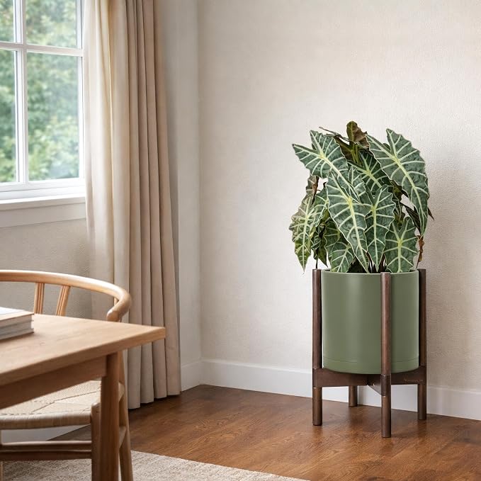 D'vine Dev Plastic Pot with Walnut Wood Stand, Olive, 10 in, 55-C-L-3 | Mid-Century Inspired Design, Elevated Plant Display, Clean Lines, Sturdy Support, Modern Space-Saving Style