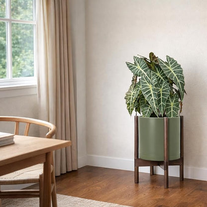 D'vine Dev Plastic Pot with Walnut Wood Stand, Olive, 10 in, 55-C-L-3 | Mid-Century Inspired Design, Elevated Plant Display, Clean Lines, Sturdy Support, Modern Space-Saving Style