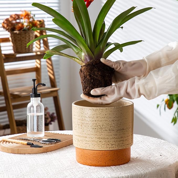 8 Inch Ceramic Self Watering Planter with Drainage Hole, Brush | Indoor Plant Pot with Water Storage Plus - for African Violet, Herbs & Pothos - Home & Office Decor, Cylinder Round