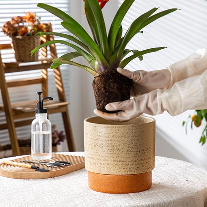 8 Inch Ceramic Self Watering Planter with Drainage Hole, Brush | Indoor Plant Pot with Water Storage Plus - for African Violet, Herbs & Pothos - Home & Office Decor, Cylinder Round
