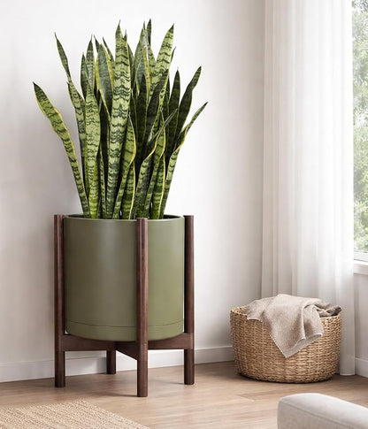 D'vine Dev Plastic Pot with Walnut Wood Stand, Olive, 16 in, 55-C-X-3 | Mid-Century Inspired Design, Elevated Plant Display, Clean Lines, Sturdy Support, Modern Space-Saving Style