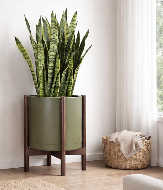 D'vine Dev Plastic Pot with Walnut Wood Stand, Olive, 16 in, 55-C-X-3 | Mid-Century Inspired Design, Elevated Plant Display, Clean Lines, Sturdy Support, Modern Space-Saving Style