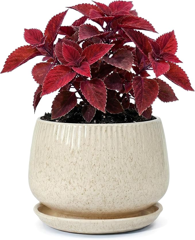 7.5 Inch Ceramic Planter with Saucer,Modern Garden Pots with Drainage Hole Mesh Net, for Indoor Outdoor Use (Silk White)