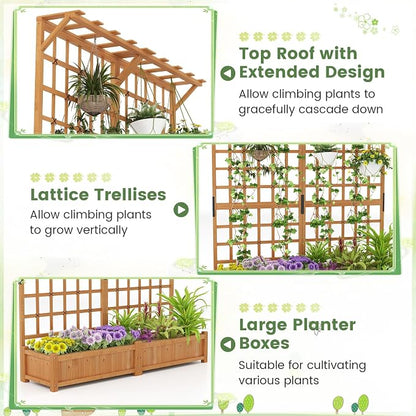72" Raised Garden Bed with Lattice Trellis, Hanging Roof & Drainage Holes, Elevated Wooden Planter Box for Vine Climbing Plant, Flower, Herb & Vegetable