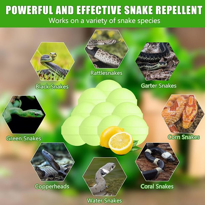 24 Pack Snake Repellent for Yard, Natural Rodent Repellent Balls for Outdoors and Indoor, Keep Snakes Lizard and Rodent Away from Lawn Yard Garden Camping Fishing Pet Safe
