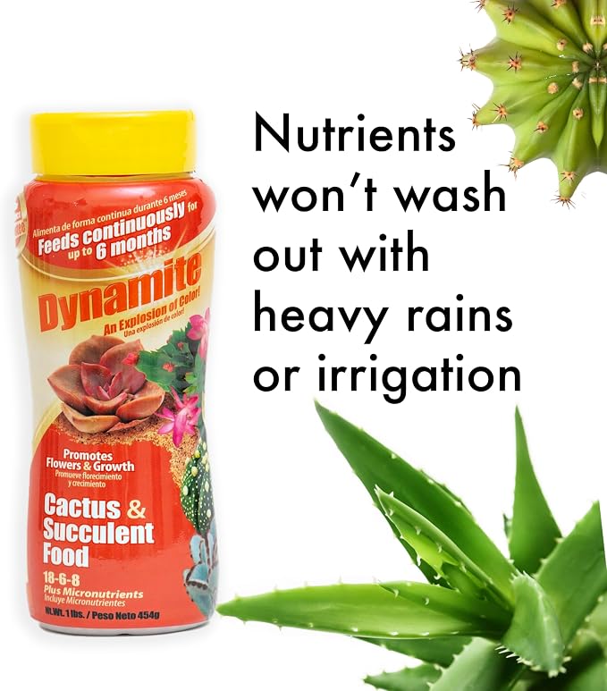 Dynamite Cactus & Succulent Food 18-6-8 - Plant Food for Indoor/Outdoor Cacti & Succulents - Continuous Feeding Up to 6 Months - Promotes Growth & Flowering - Includes Micronutrients