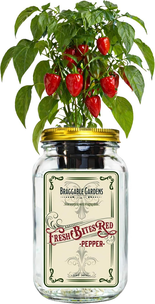 Fresh Bites Red Mini Bell Pepper Indoor Garden Kit – Mason Jar Hydroponic Pepper Grow Kit – Windowsill Countertop Pepper Planter – Grow Sweet Peppers Indoors