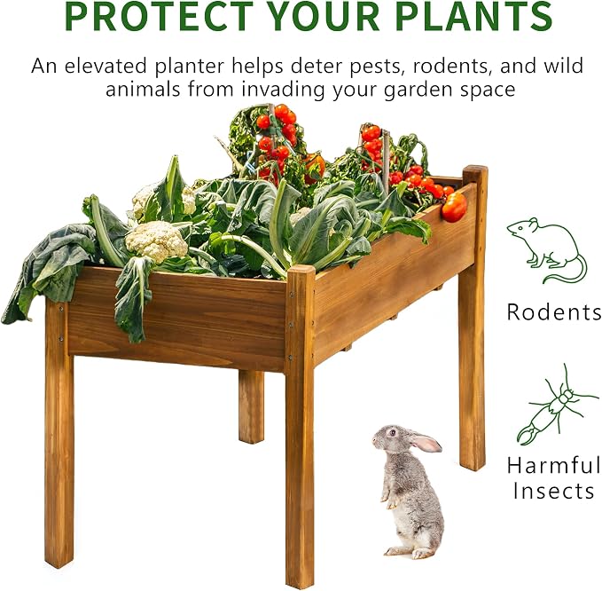 30" H Raised Garden Bed with Legs, Fir Wood Elevated Garden Bed Planter Box | Plant Stand Indoor/Outdoor for Tomato, Strawberry Herb Garden Planter