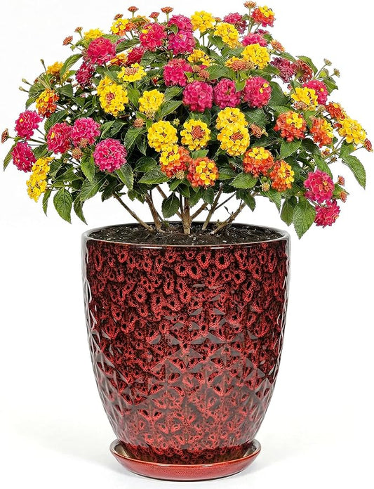 9.5 Inch Flower Pots for Indoor Plants,Ceramic Planter with Saucer Drainage Leak-Proof Mesh Gardening Gloves (Diamond Red)