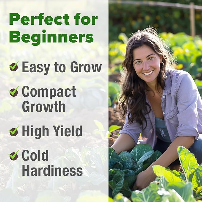 HOME GROWN Vates Collard Green Seeds Bulk Mix | 300+ Heirloom Non-GMO Seed for Fall & Winter Garden Planting | High Germination Frost Tolerant & Slow to Bolt | Nutritious Leafy Greens