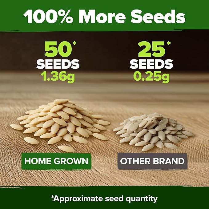 HOME GROWN Persian Cucumber Seeds 50+ Heirloom Non-GMO, Beit Alpha Variety, High Germination, Sweet Thin Skin, Burpless Snacking Cucumbers, Fast Growing, Indoor Outdoor Garden Crop (Cucumis sativus)