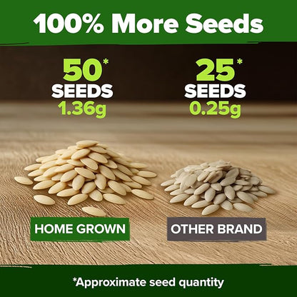 HOME GROWN Persian Cucumber Seeds 50+ Heirloom Non-GMO, Beit Alpha Variety, High Germination, Sweet Thin Skin, Burpless Snacking Cucumbers, Fast Growing, Indoor Outdoor Garden Crop (Cucumis sativus)