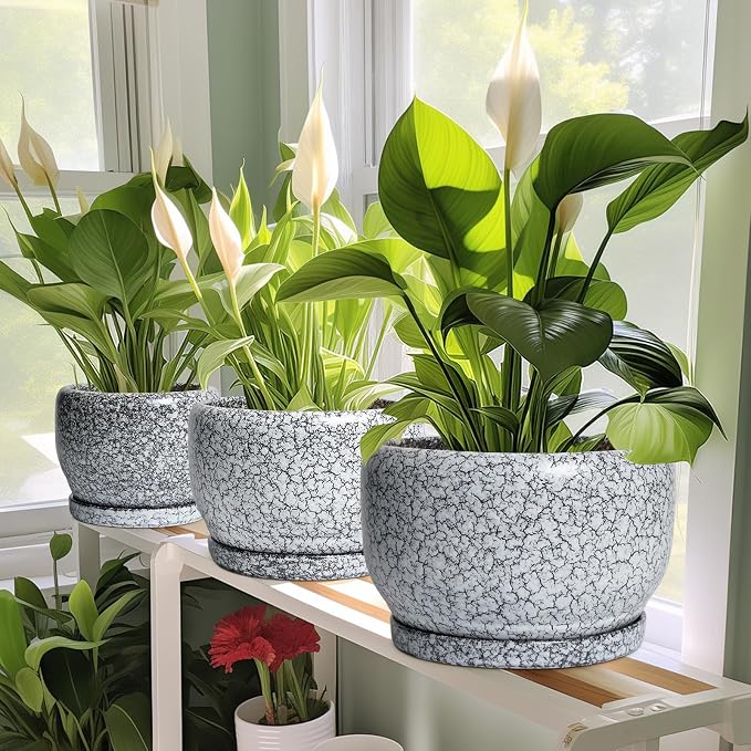 SQOWL Ceramic Planters - 10 Inch Ceramic Flower Pot with Drainage Hole and Saucer, Decorative Plant Pot Indoor, Round Large Planter Outdoor, Bathroom Decor, Gifts for Plant Lovers, Black and White