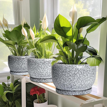 SQOWL Ceramic Planters - 10 Inch Ceramic Flower Pot with Drainage Hole and Saucer, Decorative Plant Pot Indoor, Round Large Planter Outdoor, Bathroom Decor, Gifts for Plant Lovers, Black and White