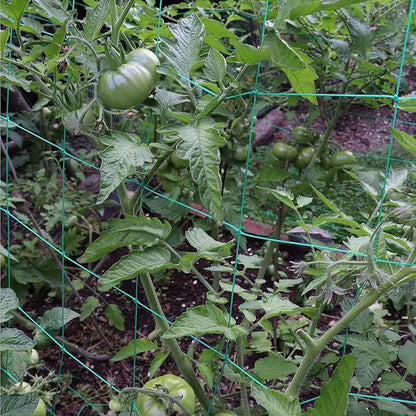 Trellis Netting for Climbing Plants - Heavy Duty Garden Trellis Netting for Cucumber, Vine, Fruits & Vegetables Tomato Plants Trellis Net, Climbing Vining Plants (2-Pack 8.2' x 6.6'Ft)