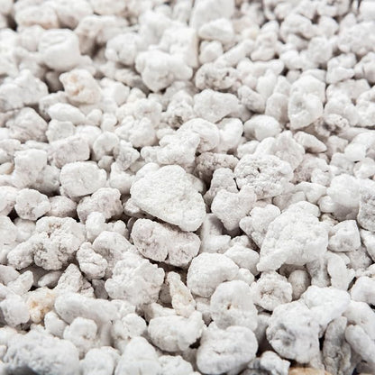 Perlite Bliss (24 Qts) - Organic Perlite for Plants Indoor Soil Amendment - Bulk Perlite for Gardening & Seed Starting - Mixes Easily with Potting Soil, Vermiculite, & Organic Coco Coir for Plants