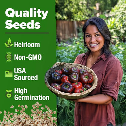 HOME GROWN Cherokee Purple Tomato Seeds 106+ Heirloom Non GMO Seeds for Planting, High Germination, Indeterminate, Rich Smoky Flavor, Large Beefsteak Slicing Tomato, Home Garden (Solanum lycopersicum)