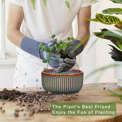 Plant Pots Indoor with Drainage Hole 6 inch Ceramic Plant Pot Sage Green Succulent Pot Small Round Planters for Indoor Outdoor Plants Bonsai Bowl Decorative Flower Pots for Orchid Cactus Snake Plant