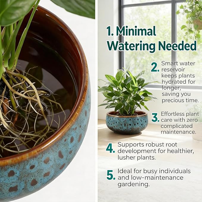 Lotus Bowl Planter - Ceramic Leak-Proof Hydroponic Pot with Rotating Bracket, 6.5 x 2.5 in Round Shallow Plant Glazed Vase, Indoor Water Planting for Home, Patio, Zen Garden Decor