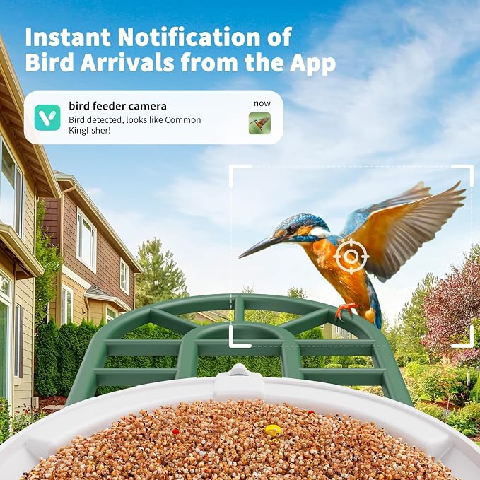 HARYMOR Smart Bird Feeder with Camera - AI Identify Birds Species, Solar Powered Bird House with Cam, 2L Large Capacity, 2K HD Video Live Stream, Instant Arrival Alerts - Green