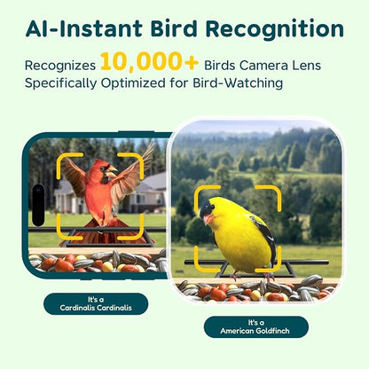 TT Nature Bird Feeder with Camera Solar Powered, Upgraded 1.5L Smart Bird Feeder Camera for Bird Watching, Auto Capture & Instant Real-time Notifications, Ideal Gift for Bird Lovers