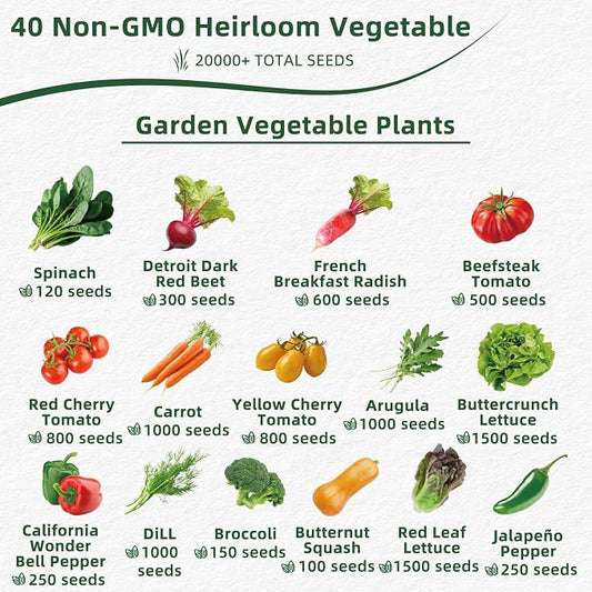 40 Vegetable & Herb Seeds Vault Kit with Sweet Basil, Cherry Tomato, Romaine Lettuce, 20,000+ Garden Seeds for Indoor Outdoor Planting