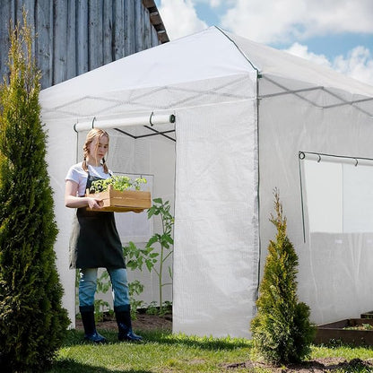 EAGLE PEAK 10x10 Portable Walk in Greenhouse, Pop Up Indoor Outdoor Greenhouse, Green House Kit with Zippered Roll-Up Doors and Windows, PE Cover, Clear/White
