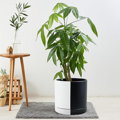 D'vine Dev 10 Inch Ceramic Planter Pot, Black White Split, 94-O-E-0 | Modern Cylinder Design, Drainage Hole & Saucer Included, Stable Structure, Elegant Home Accent