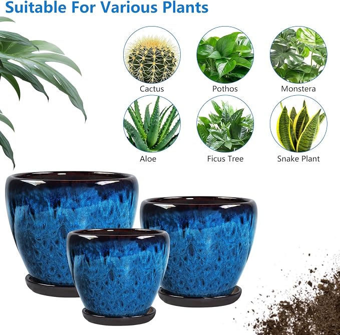 Ceramic Plant Pots with Saucer, 6 inch Glaze Planters for Indoor Plants with Drainage Holes, Decorative Small Flower Pots Outdoor, Modern Succulent Pots for Home Room Decor