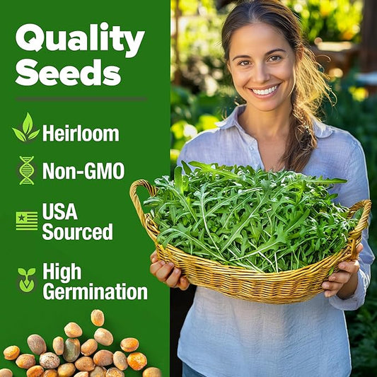 HOME GROWN Arugula Roquette Seeds 2,175+ Heirloom Non-GMO Seeds for Planting, High Germination, Fast Growing Peppery Salad Greens, Indoor Outdoor Hydroponic Garden, Microgreens (Eruca vesicaria)