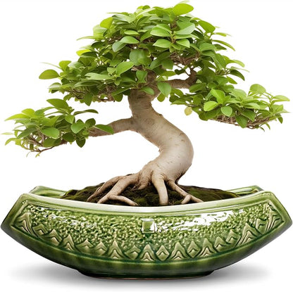 Bonsai Planter 18 Inch - Large Ceramic Succulent Pots with Drainage Hole, Bonsai Pots for Indoor Outdoor Plant, Ceramic Flower Pot, Decorative Plant Pot, Garden Decor, Housewarming Gift, Green
