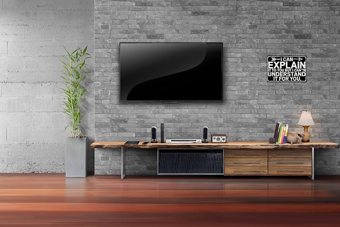 Funny Sarcastic Engineer Office Wall Sign Can Explain It To You But Cant Understand It For You Plaque 8x12 in Metal Sign Room Decor Gift For Friends