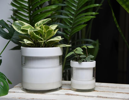Phoenix Vine 6 Inch 4 Inch Self Watering Planter, White Terracotta Clay Pots with Glass Reservoir for Indoor Plants, Herbs, Flowers, 52-B-G-46