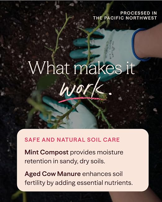 Heirloom Roses Mint Compost & Aged Cow Manure Bundle, 100% Natural Soil Amendments for Rose Planting, Enriched with Nitrogen & Micronutrients, Ideal for Garden Vegetables, Flowers & Soil, Bundle