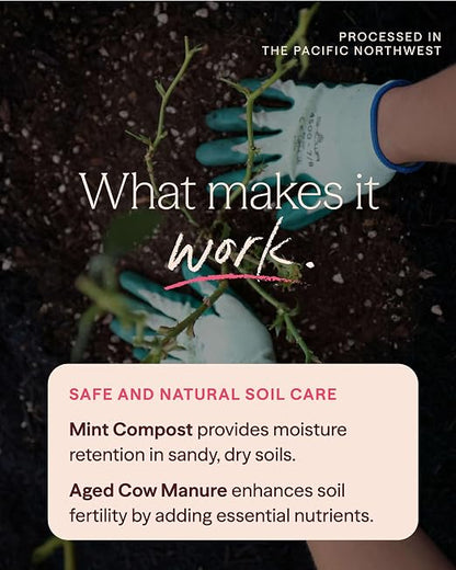 Heirloom Roses Mint Compost & Aged Cow Manure Bundle, 100% Natural Soil Amendments for Rose Planting, Enriched with Nitrogen & Micronutrients, Ideal for Garden Vegetables, Flowers & Soil, Bundle