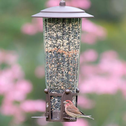 Perky-Pet Squirrel-Be-Gone Max Bird Feeder, (4) Flexport Feeding Stations | Squirrel-Proof Metal Hanging Feeder for Outdoors, Weight-Activated Ladder-Style Perches, 4lb Seed Capacity, 334-1SR