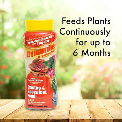 Dynamite Cactus & Succulent Food 18-6-8 - Plant Food for Indoor/Outdoor Cacti & Succulents - Continuous Feeding Up to 6 Months - Promotes Growth & Flowering - Includes Micronutrients