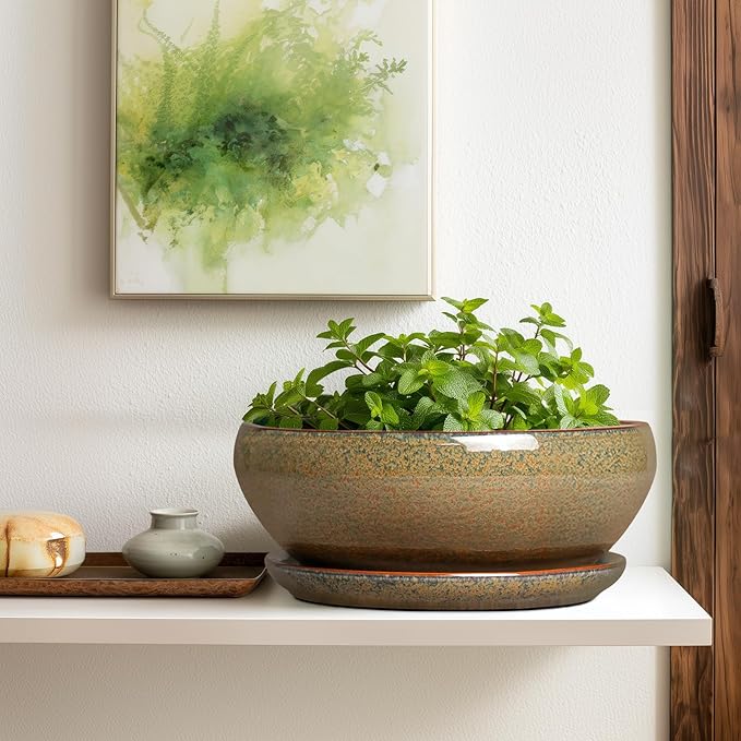 SQOWL Ceramic Bonsai Pots - 12 Inch Succulent Pots with Drainage Hole and Saucer, Large Succulent Planters, Shallow Planter Indoor Outdoor, Round Planter Bowl, Home Decor, Gift for Plant Lover, Brown