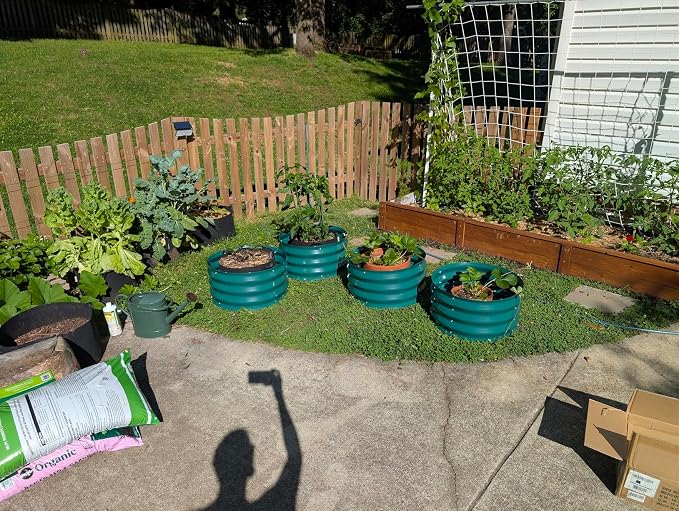 Garvee 2 Pack Galvanized Raised Garden Bed, Petal-Shaped, 4x4x1ft, Green | Metal Planter Box Combines into 4 Circles, Open Base for Veggies, Herbs & Flowers, Rust-Resistant Outdoor Garden Bed
